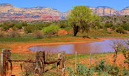 River colors image by Komor Earth Images