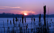 Waterfront sunset image by Komor Earth Images